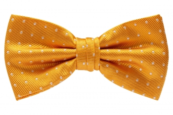 Bow tie yellow geometric