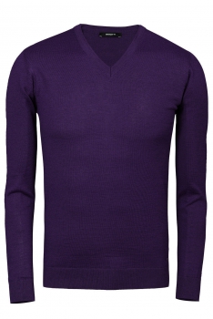 Slim body Purple Sweater