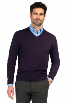 Slim body purple sweater