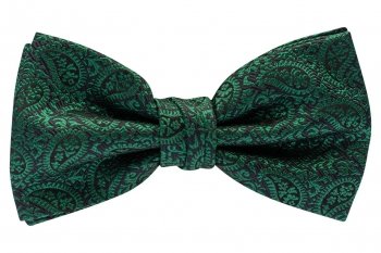 Papion verde print geometric