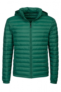 Verde geci