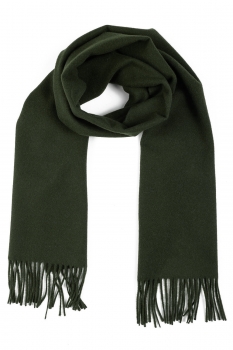 Green scarf