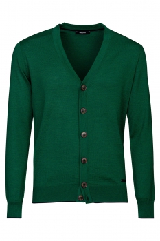 Green sweater