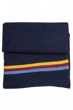 Fular bleumarin