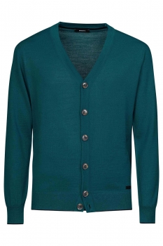 Blue sweater