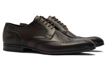 Brown genuine leather shoes