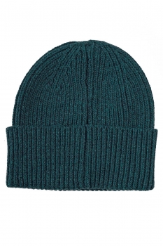 Blue beany